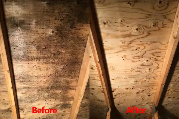 water damage restoration service Springdale